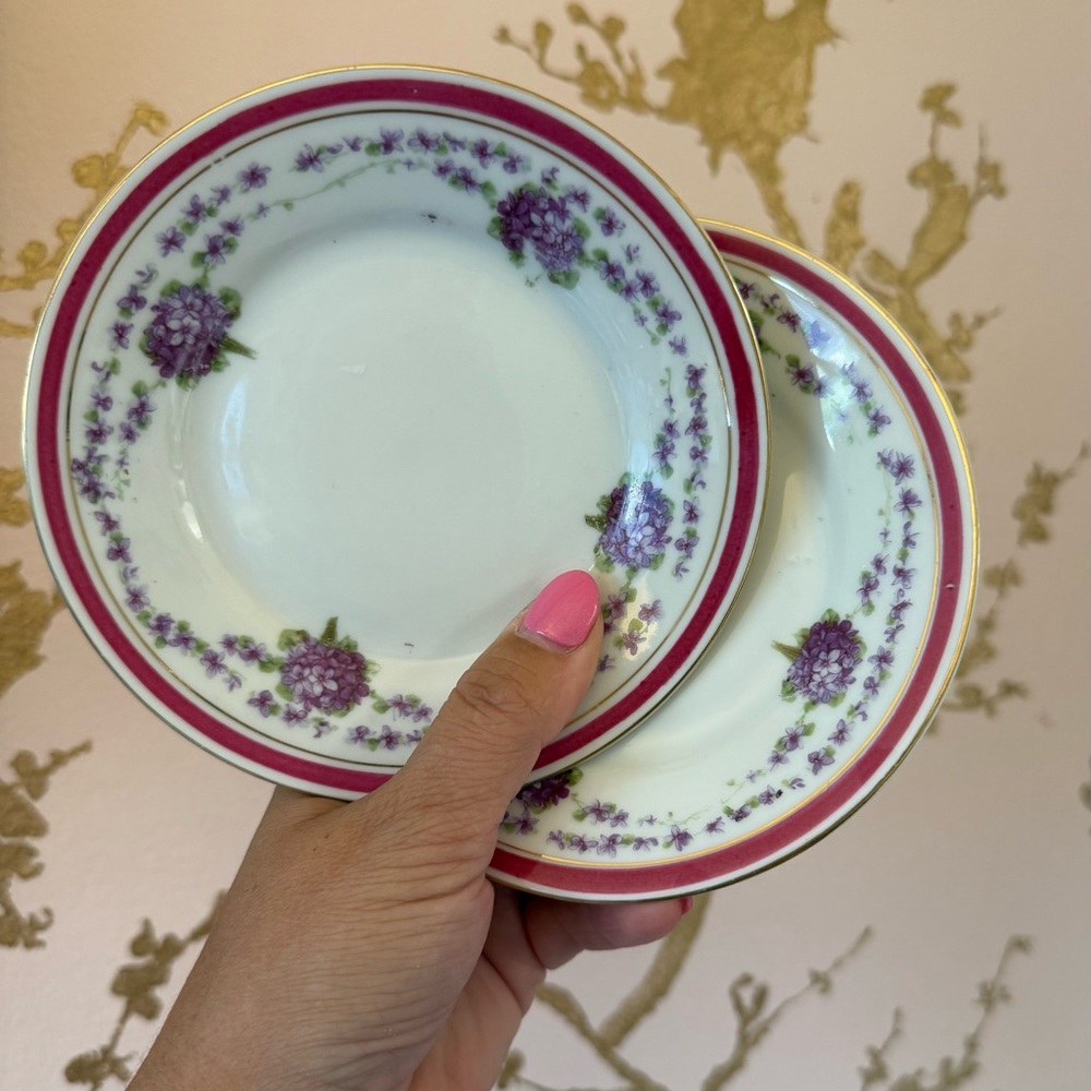 Floral Patterned Plates with Gold Trim - Set of 6